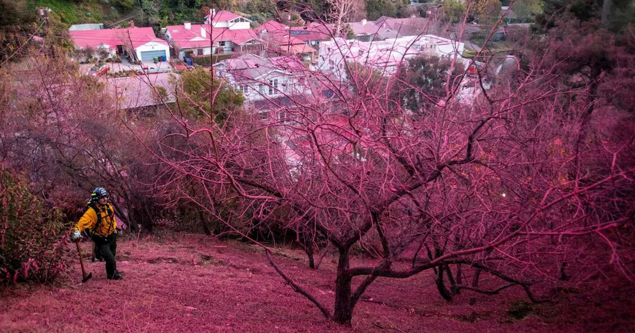 Retardante de Chamas Rosa Brilhante Combate Incêndios em Los Angeles