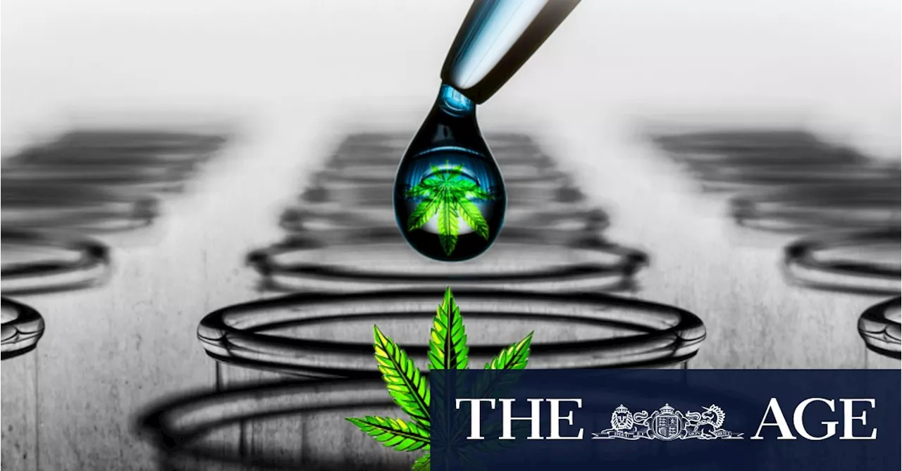 Cannabis Cancer Research Under Investigation After Ethical Concerns