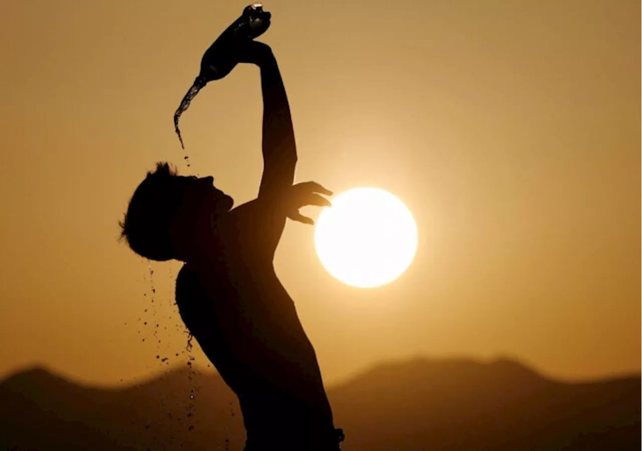 Climate Change Dominates Headlines: Record Temperatures, Wildfires, and Tree Planting Initiatives