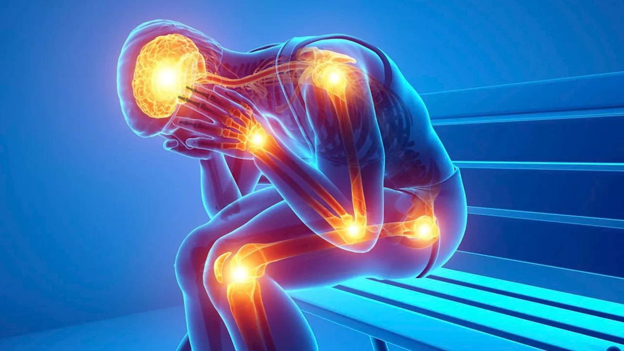 Chronic Inflammation: Causes, Symptoms & How to Reduce It