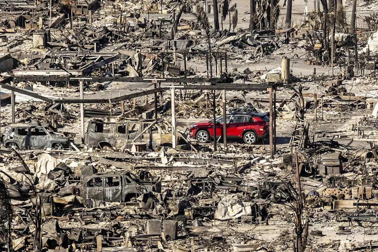 Fierce Winds Fuel Wildfires in Los Angeles