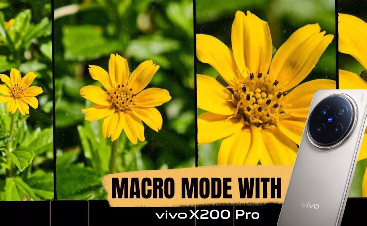 vivo X200 Pro: Redefining Smartphone Macro Photography with ZEISS