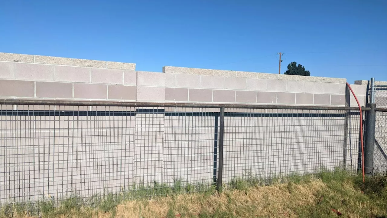 Neighbor Builds Giant Wall for Privacy, Sparks Mixed Reactions