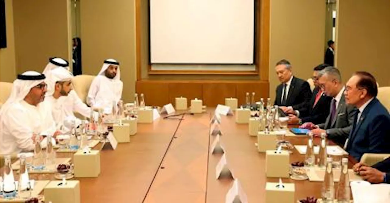 Meetings with UAE companies to strengthen bilateral ties