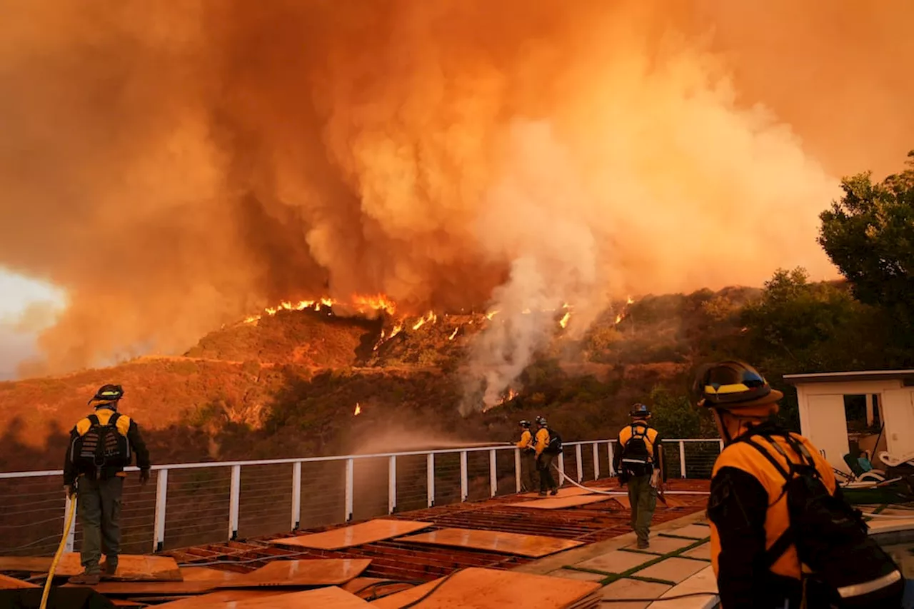 Incendios en Los Ángeles: el dato que aterra a los bomberos