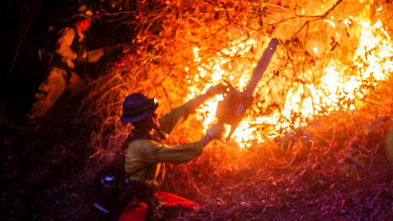 California Wildfires: A Devastating Reality