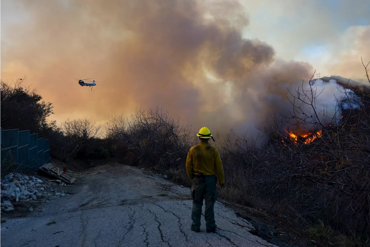 California Wildfires: The Cost of Urban Sprawl