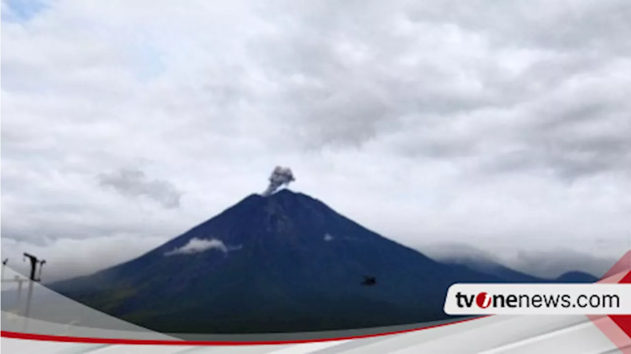 Gunung Semeru Beberapa Kali Erupsi dengan Tinggi Letusan hingga 700 Meter