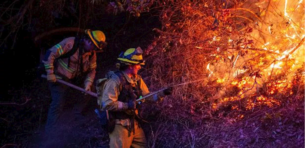 25 mortos, 40 mil acres queimados: imagens mostram incêndios na Califórnia