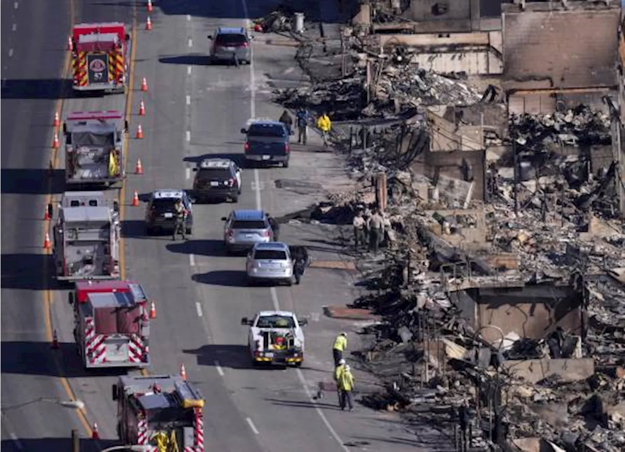 Tragedia en Los Ángeles: 24 Muertos por Incendios Forestales