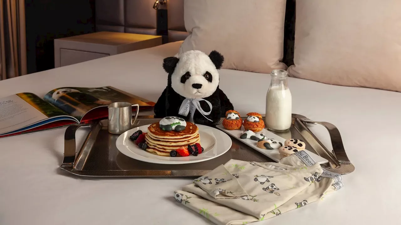 Panda-monium in DC: Hotels Offer Themed Packages for Zoo's Debuts