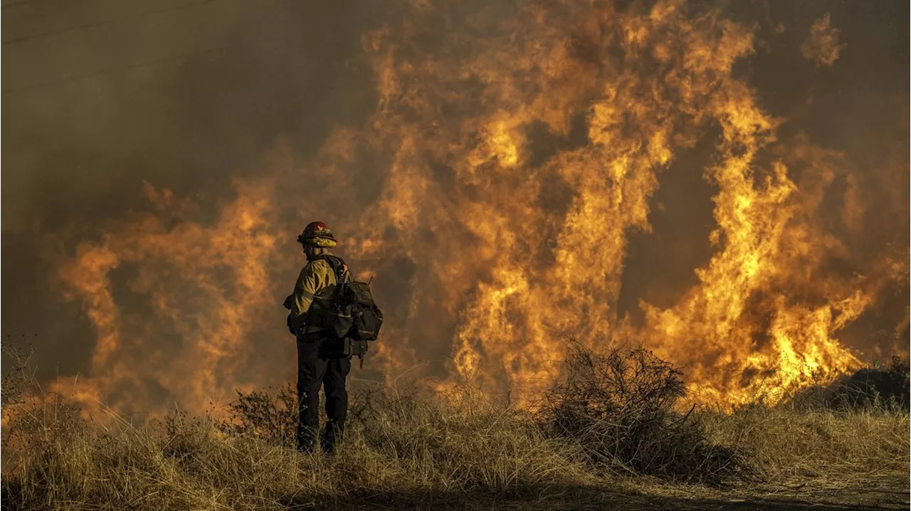 Könnte ein Silvesterfeuer die verheerenden Buschbrände in Los Angeles ausgelöst haben?