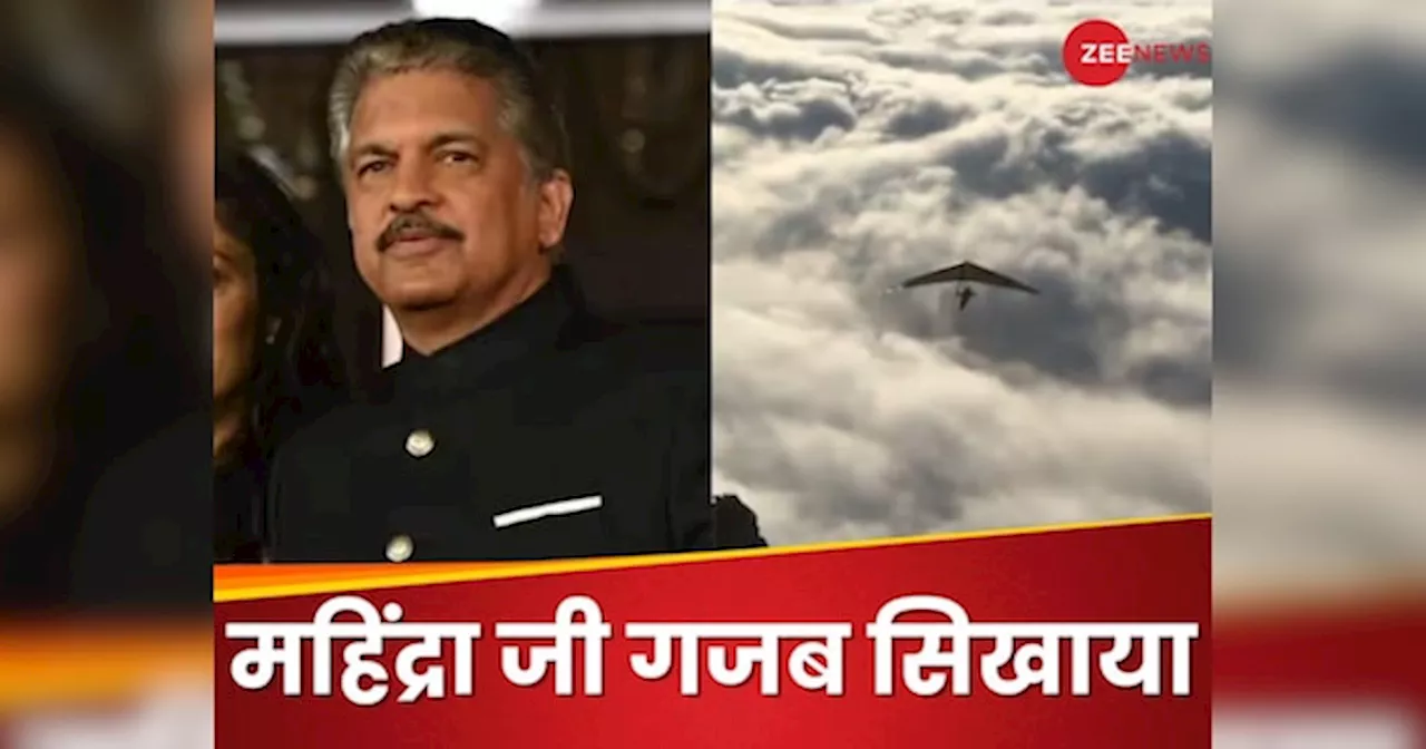 कुछ नया शुरू करना चाहते हैं तो जरा Anand Mahindra की ये टिप्स ले लें, क्या पता सक्सेस मिल जाए