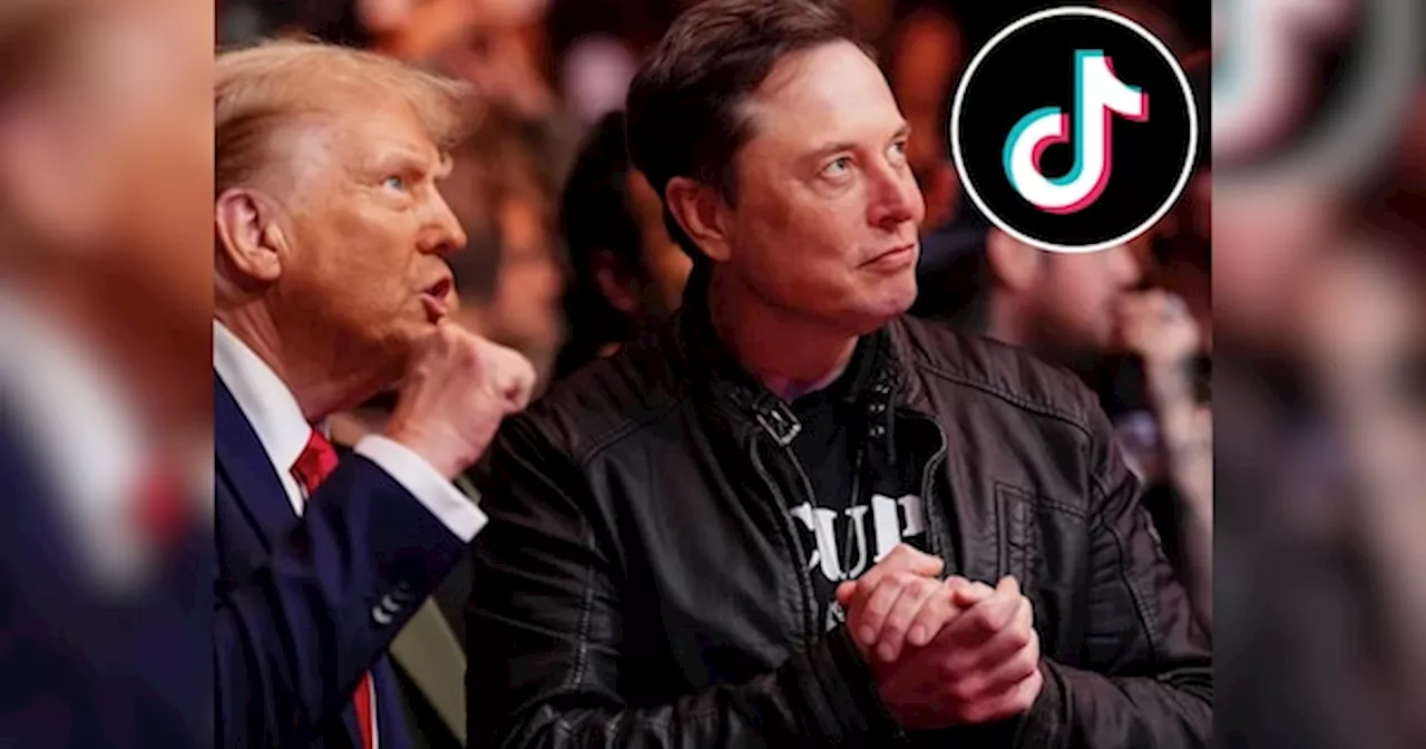 क्या TikTok को खरीदेंगे Elon Musk? लोग बोले- अभी सबसे सही मौका, जानिए क्या आया जवाब