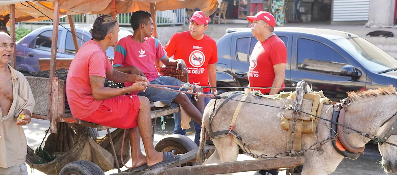 Desde el 16 de enero quedan prohibidos vehículos de tracción animal en Barranquilla