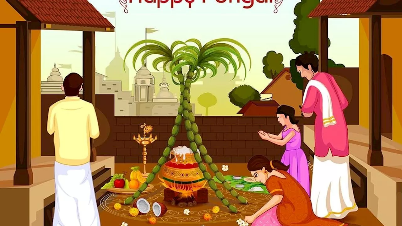 Pongal 2025: दक्षिण भारत का प्रमुख त्योहार शुरू हो रहा है