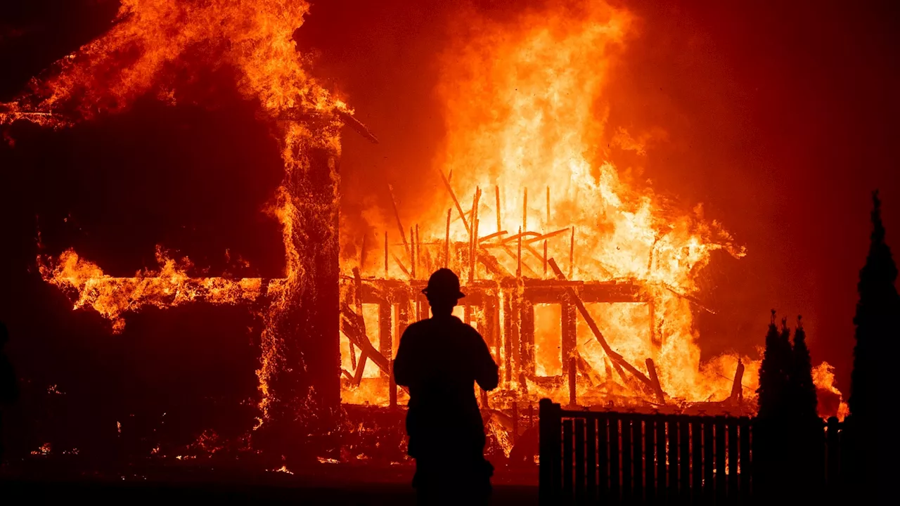 Misinformation about California Wildfires Swirls as Death Toll Rises