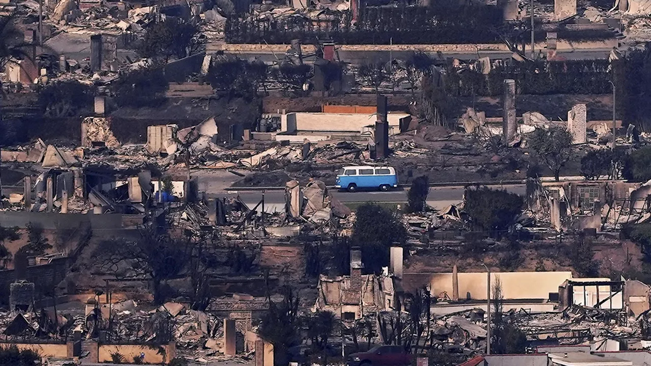 Fire Survivor: A Malibu Van Brings Joy Amidst Devastation