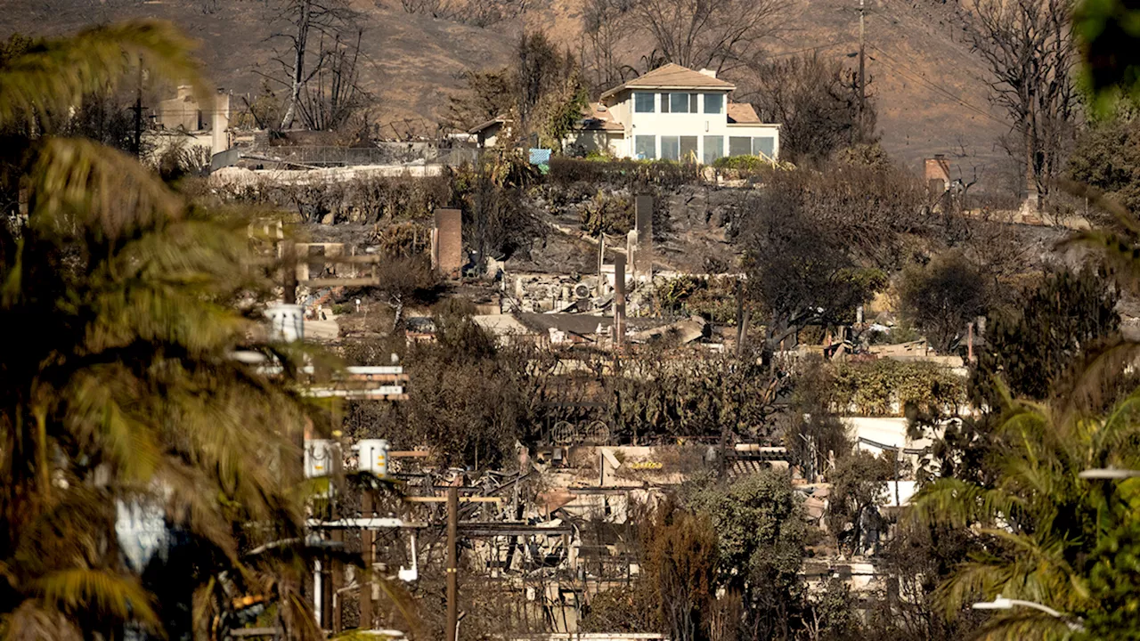 Southern California Wildfires Leave Trail of Hazards