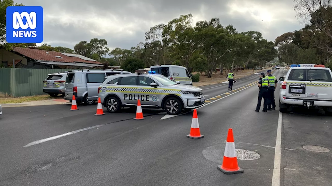 Police search for driver who allegedly failed to stop after fatal hit-run in Elizabeth East