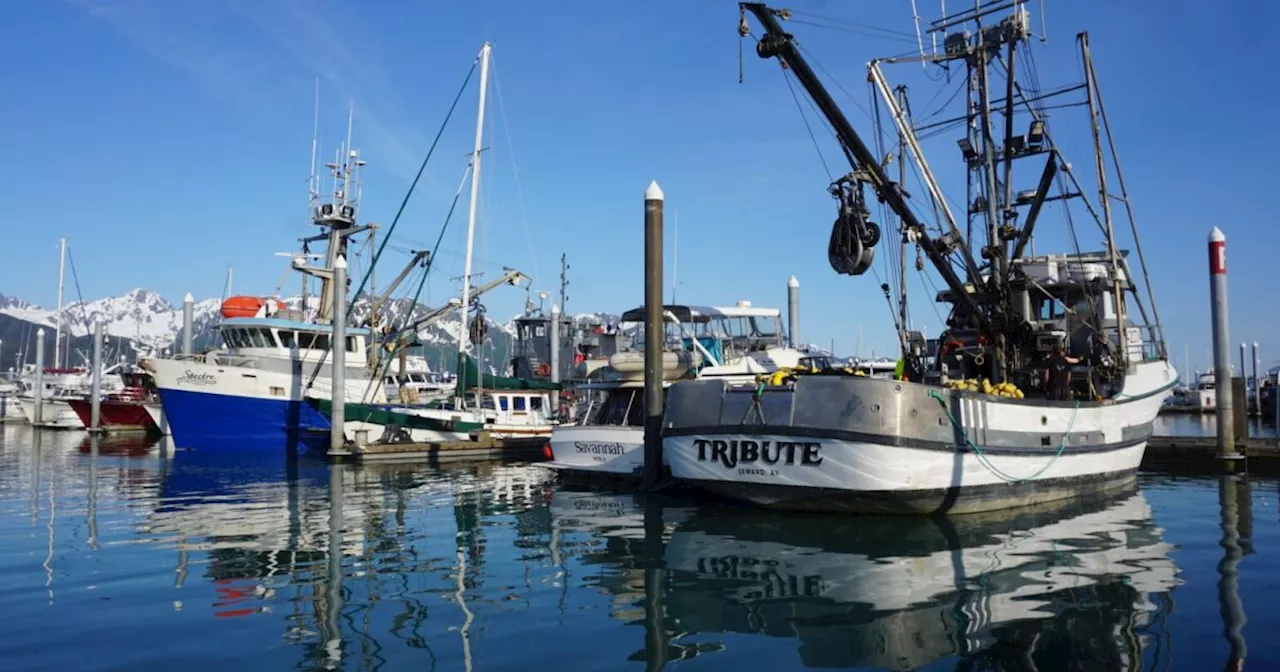 Alaska Lawmakers Propose Solutions to Revitalize Struggling Seafood Industry