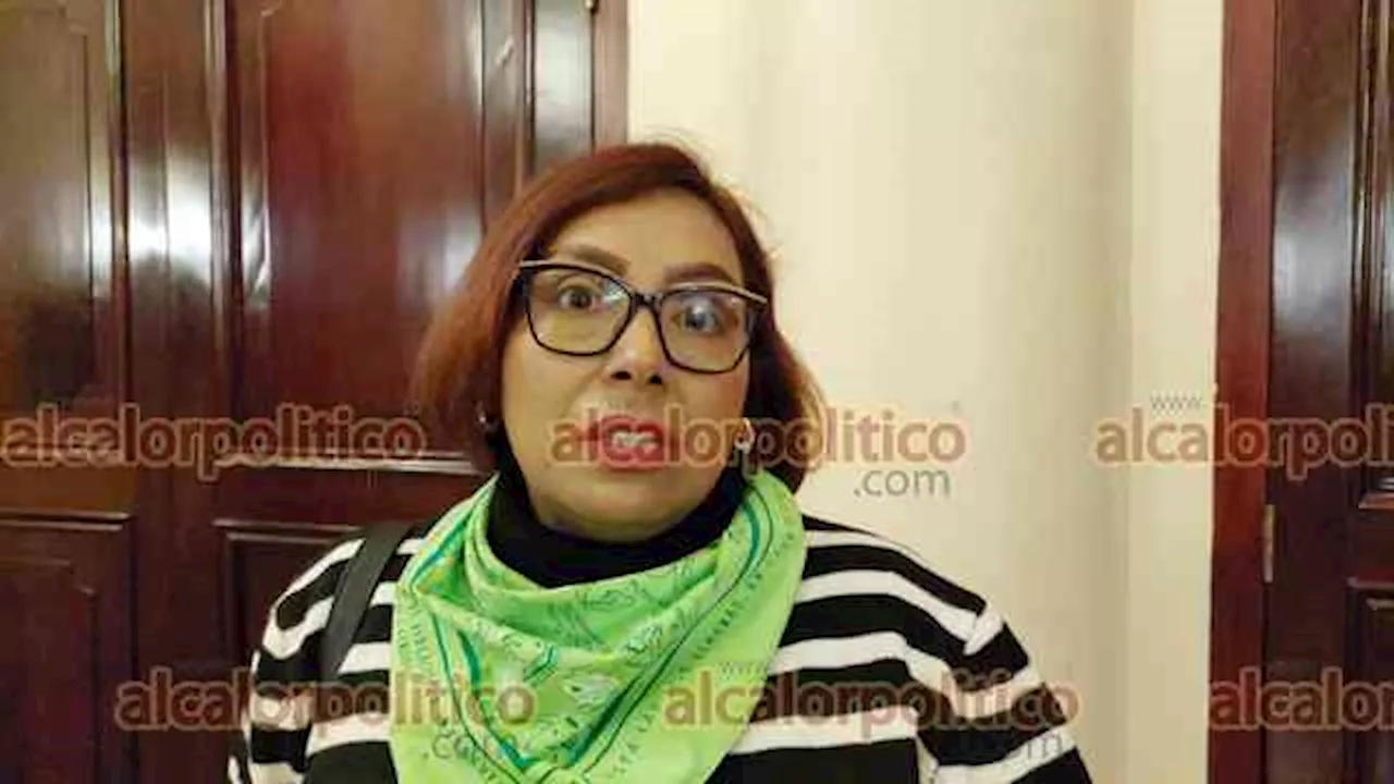 Exigen que una feminista encabece el Instituto Veracruzano de las Mujeres