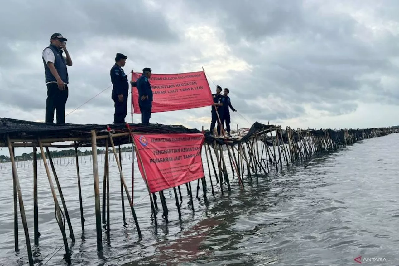 MUI Dorong Pemerintah Cabut Pemasangan Pagar Laut Ilegal di Tangerang