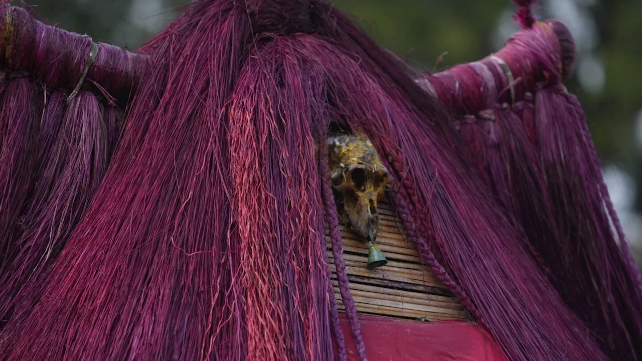 Benin's Ouidah Celebrates Voodoo Festival with Rituals and Traditional Performances