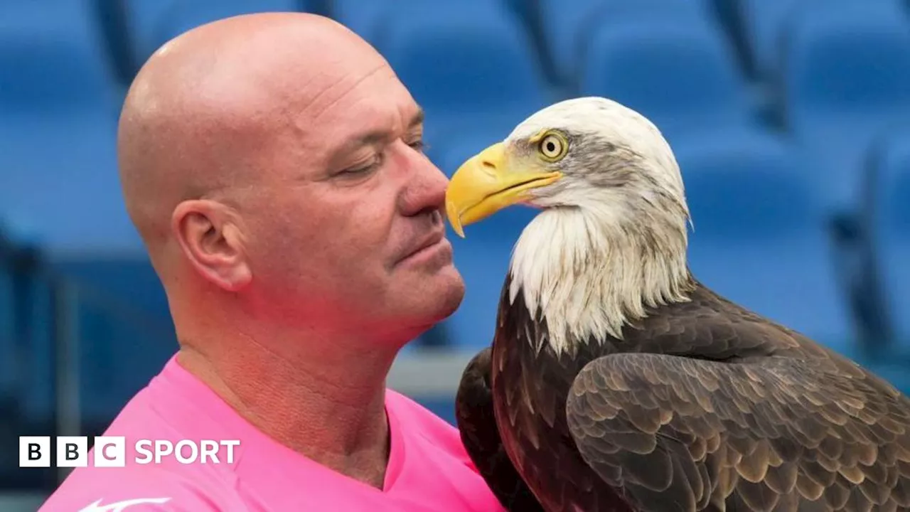 Lazio Sack Eagle Mascot Handler After Sharing Prosthetic Penis Videos Online