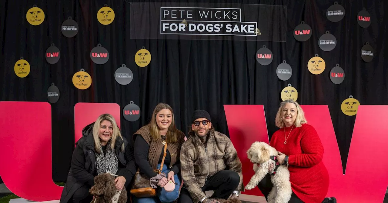 Pete Wicks Goes Behind the Scenes at Dogs Trust in New Show 'For Dogs' Sake'