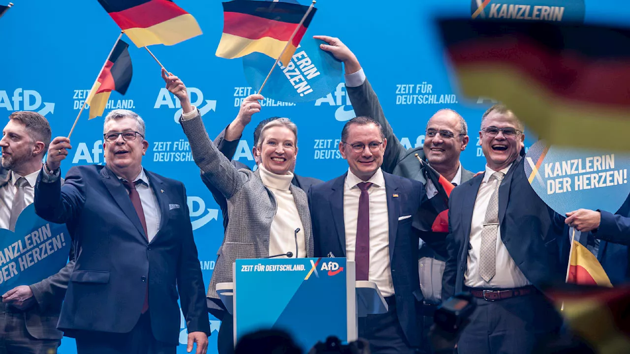 AfD-Wachstum: Steigt die Angst vor einer AfD-Pleite?