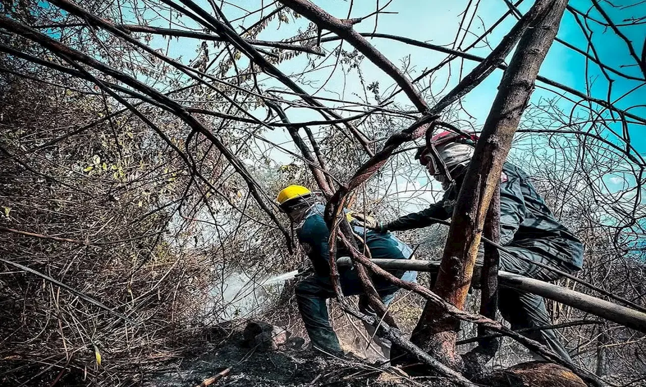 Alerta por incendios forestales en Santander