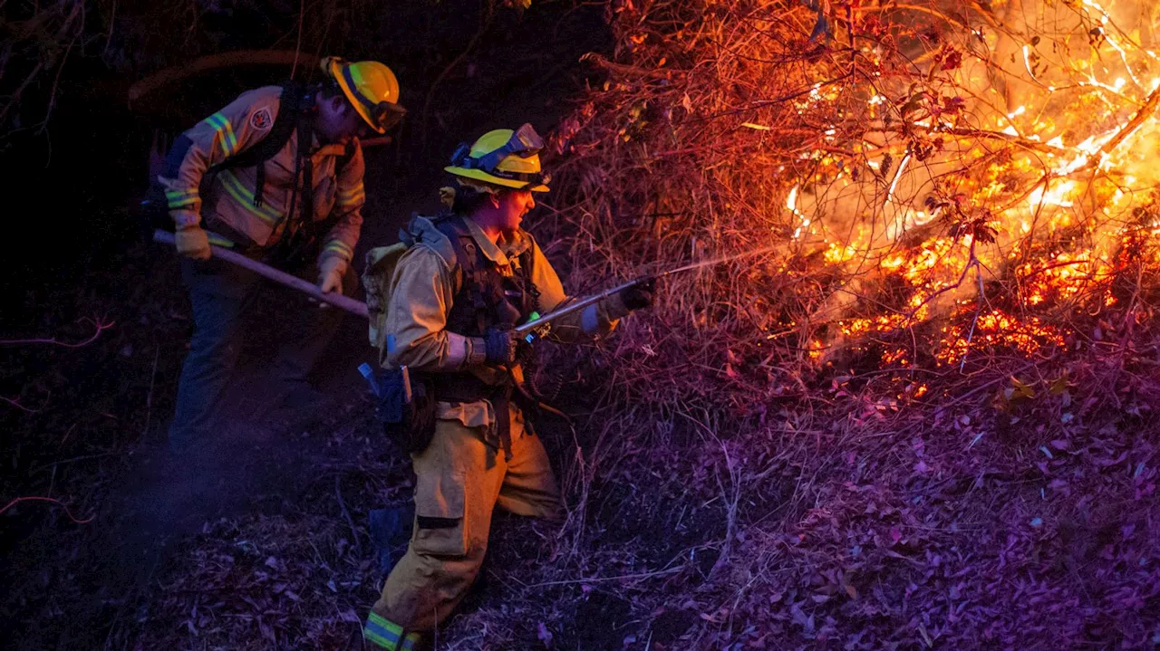 Waldbrände an der US-Westküste: Hoffnung und Gefahr