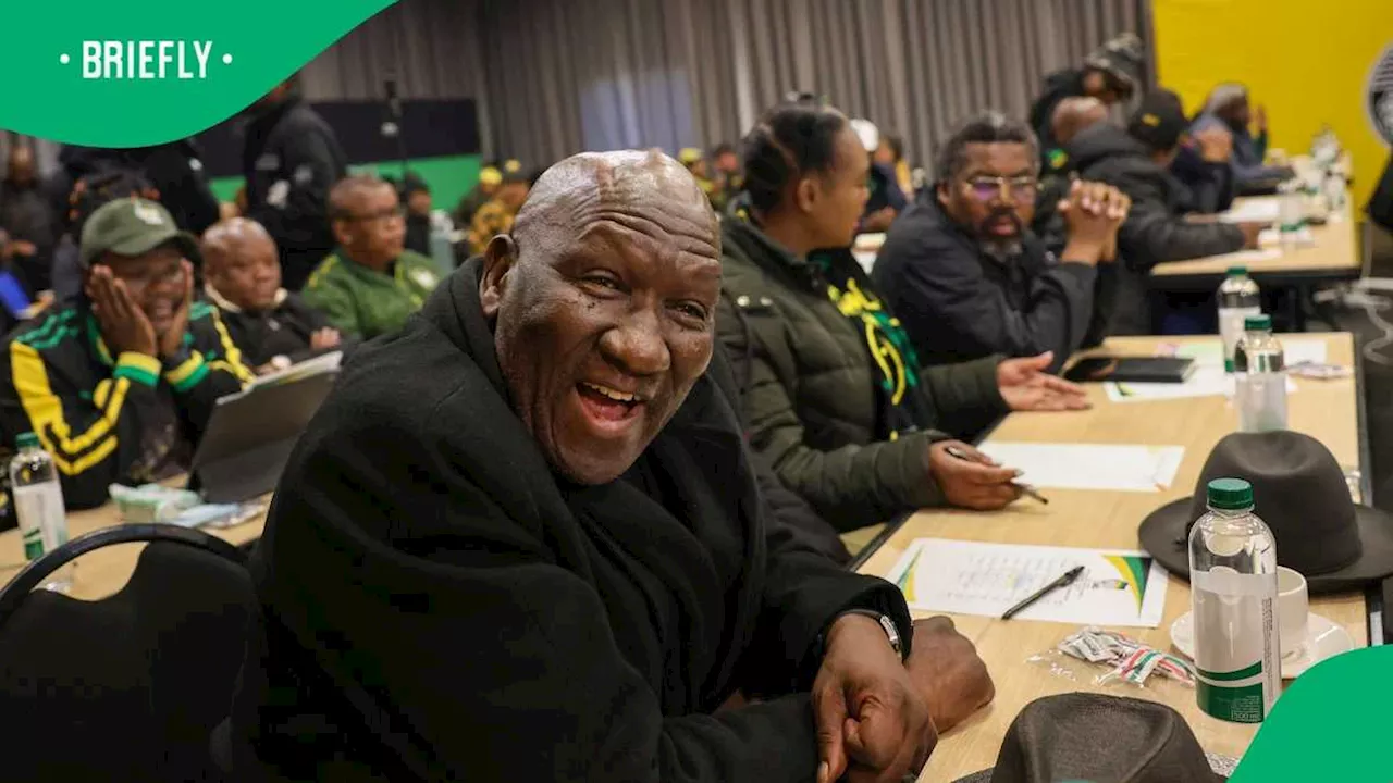 Bheki Cele's Dance Moves at ANC Celebration Go Viral