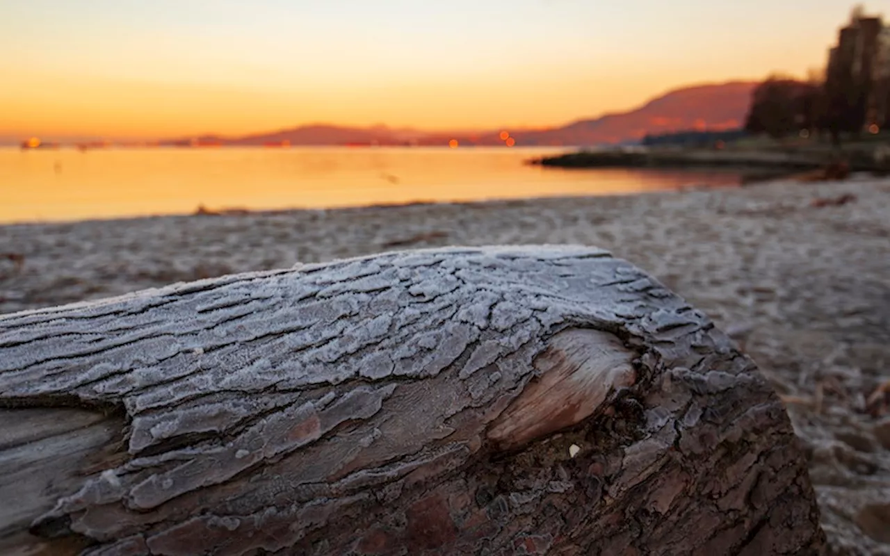 Metro Vancouver to Feel a Chilly Arctic Air Weekend, But Not as Extreme as Recent Years