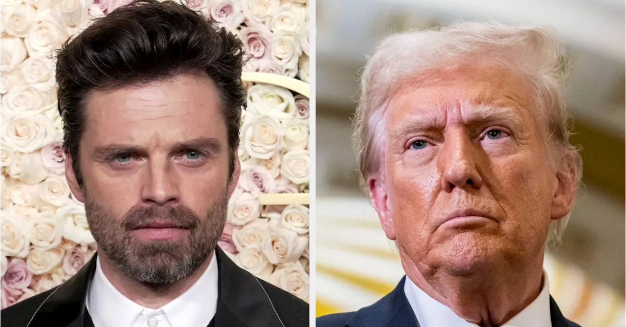 Sebastian Stan 'Disappointed' by Actors' Fear to Discuss Controversial Trump Biopic