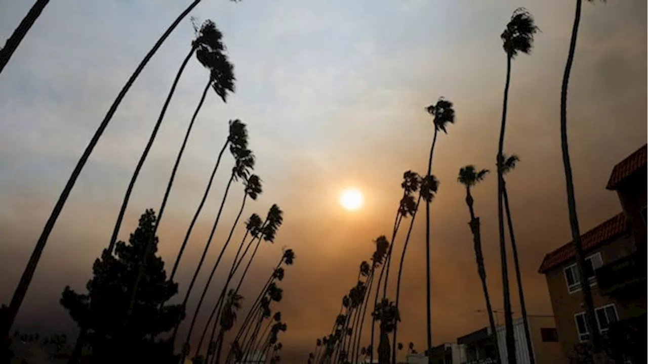 Devastating Wildfires Rage in Los Angeles, Raising Fears and Destruction