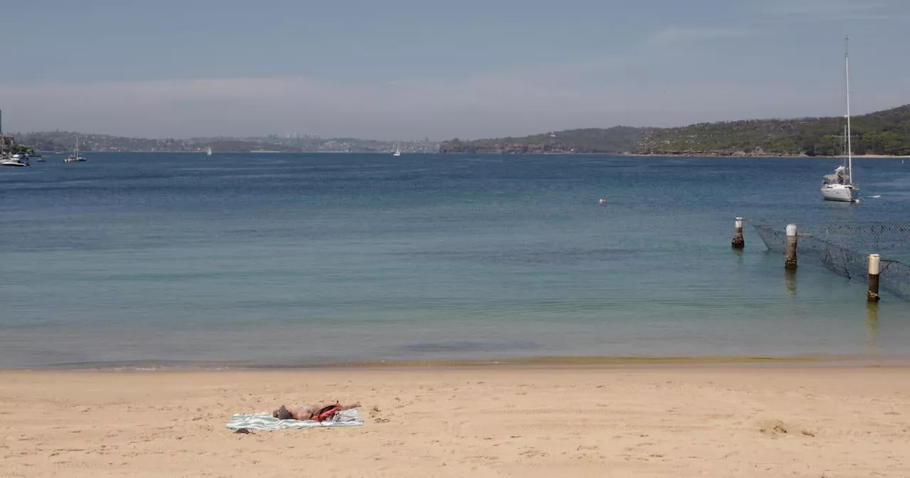 Sydney Beaches Closed After Mysterious Gray Balls Wash Ashore