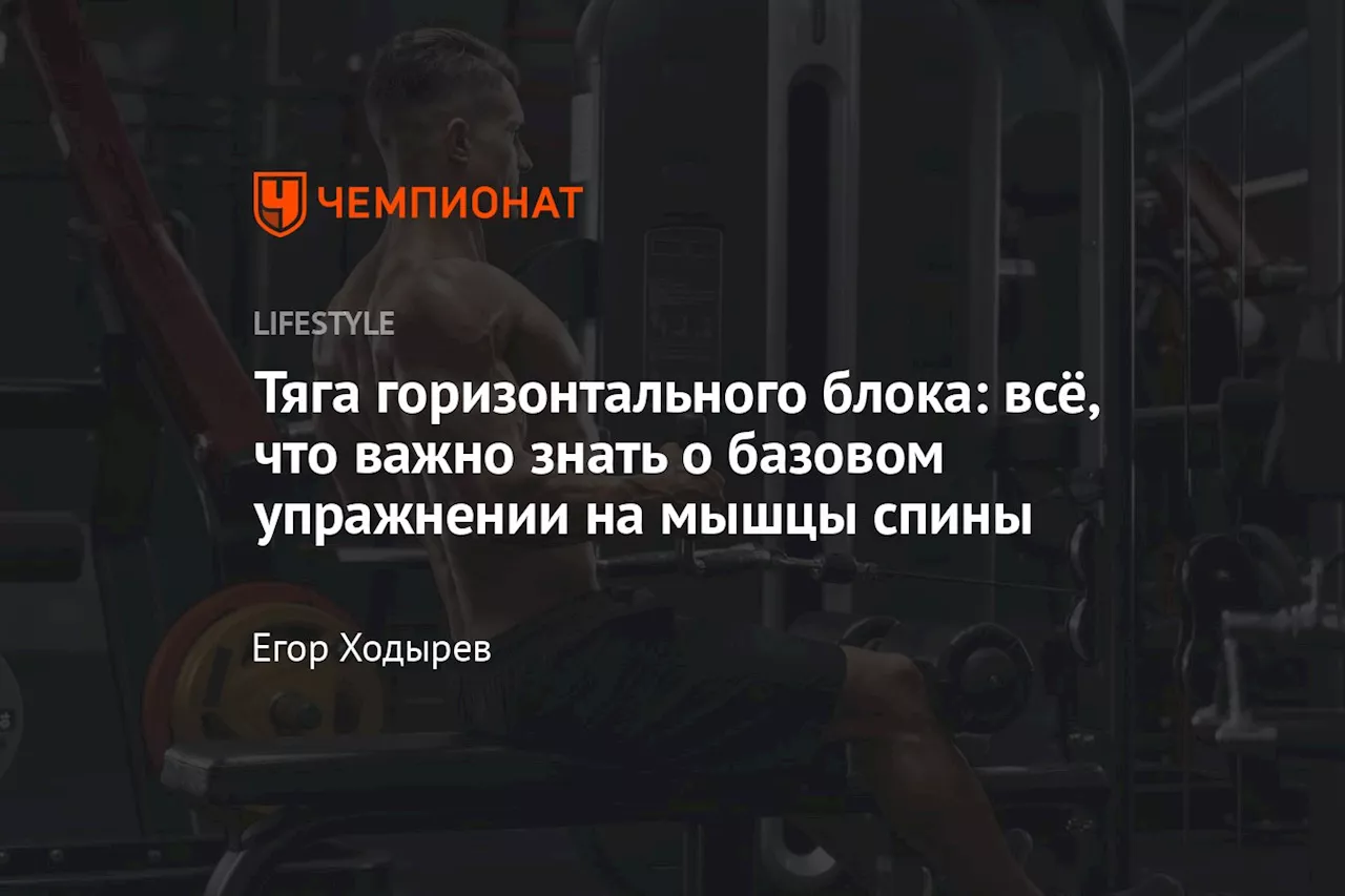 Тяга горизонтального блока: всё, что важно знать о базовом упражнении на мышцы спины