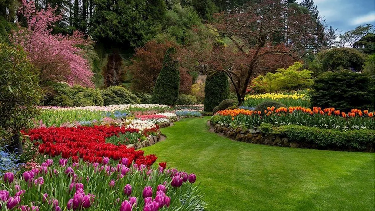 Butchart Gardens to Close for Two Weeks in January