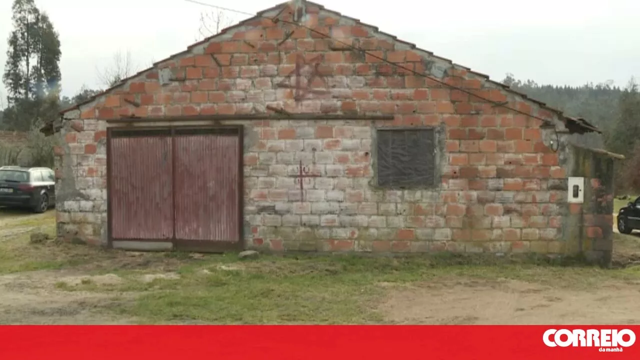 Incêndio em aviário mata 15 mil aves em Castelo de Branco