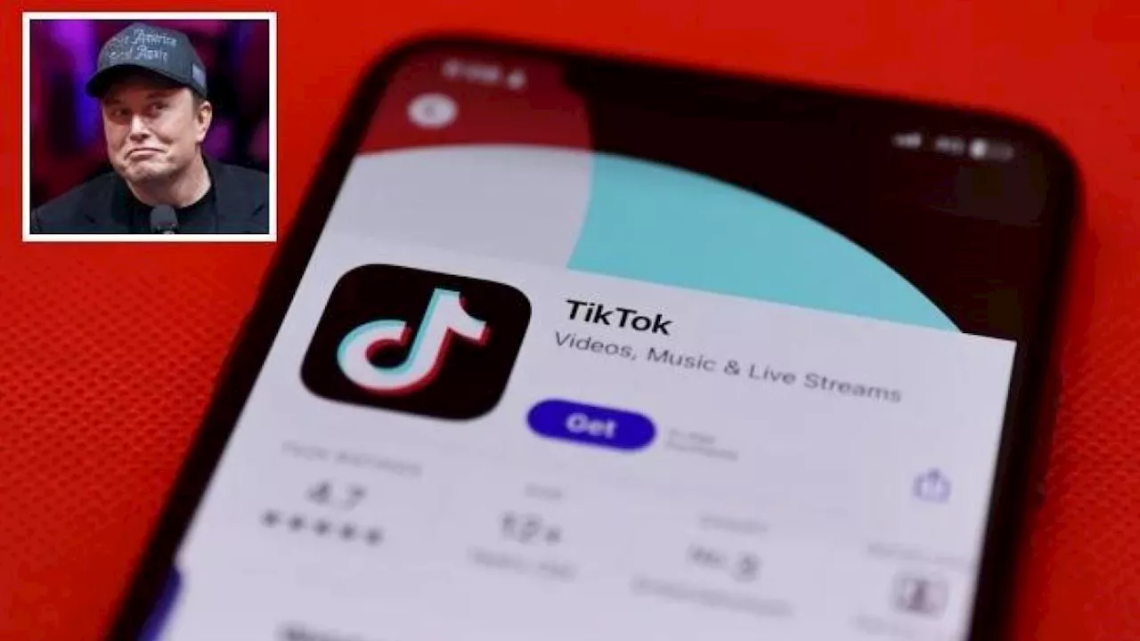 TikTok, la Cina valuta come possibile opzione la vendita delle attività Usa a Musk