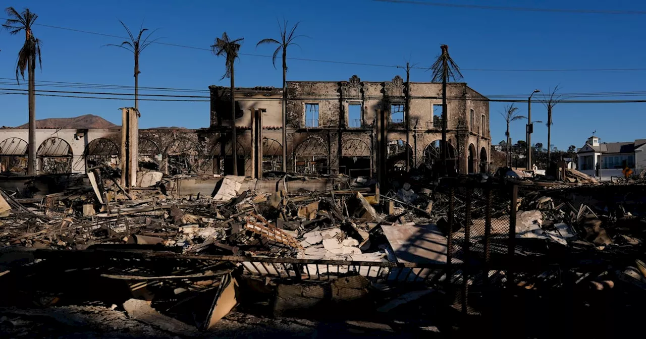 Burned Businesses Left Behind by Palisades Fire in Pacific Palisades