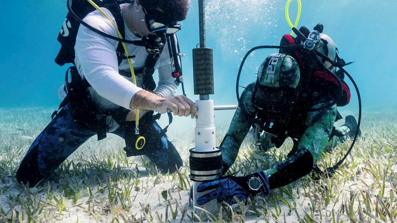 Hexagons digitala tvillingar sätter pris på naturen