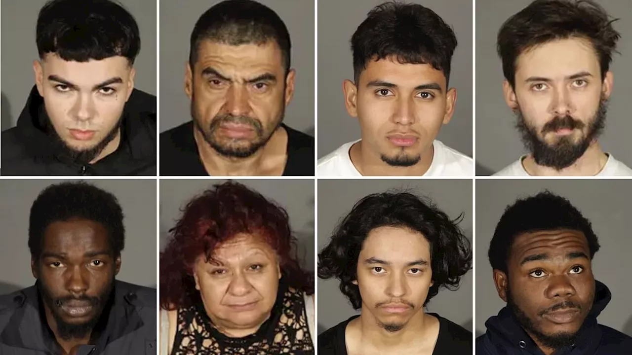 LA's lowlifes: The 'looters, burglars and drug addicts' arrested during Palisades Fire all share...