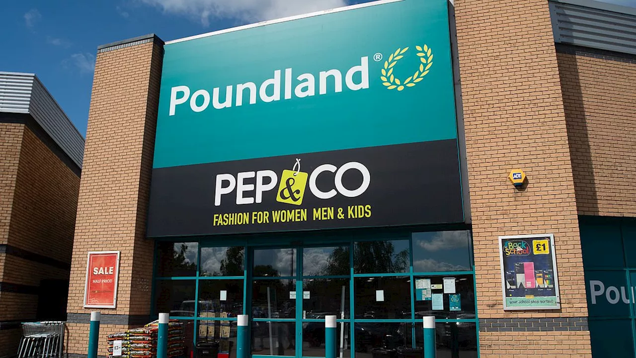 Poundland Invests Heavily in Security to Combat Rising Retail Crime