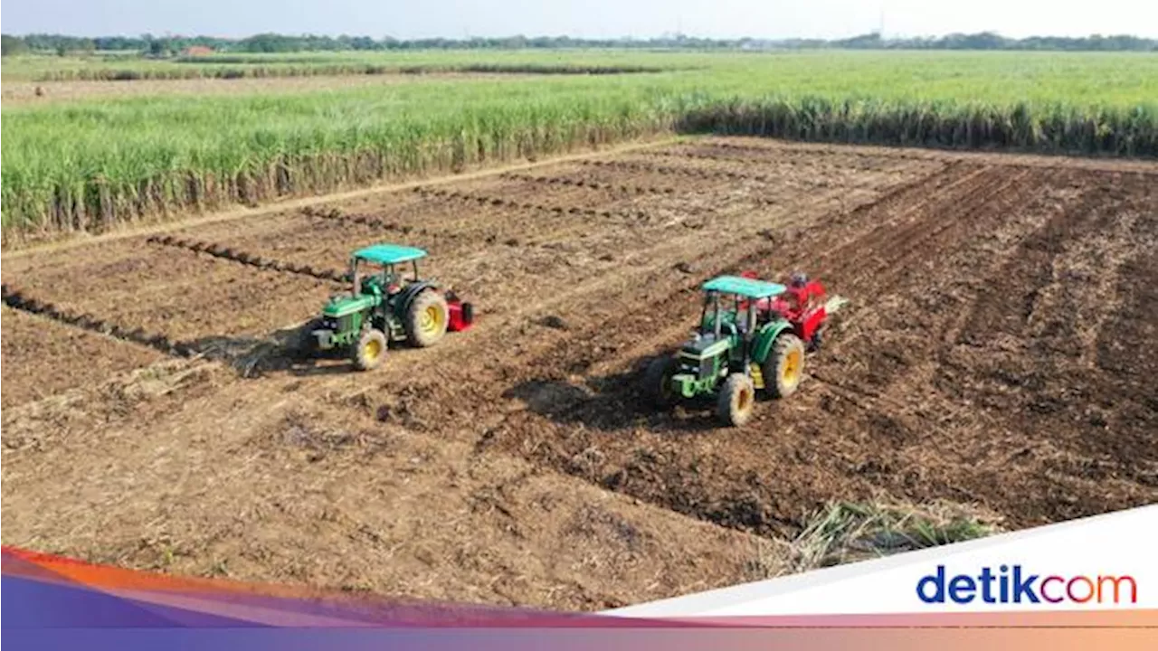 ID FOOD Optimalkan dan Lindungi Aset untuk Swasembada Pangan