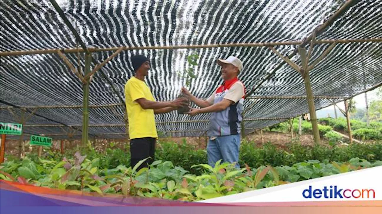 Rehabilitasi DAS Cibuni, Pertamina Cepu Tanam 157 Ribu Pohon di Cianjur