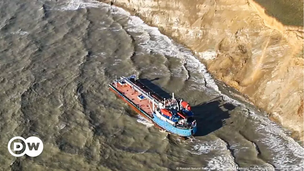 Катастрофа в Керченском проливе: мазут в Черном море, гибель животных и споры с властями