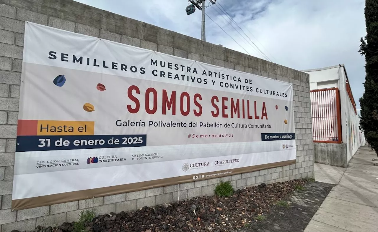 Semilleros Creativos: Un Futuro Incierto Tras Recorte Presupuestal